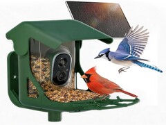 Bird feeder