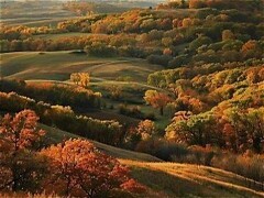 Southeast Central Wisconsin